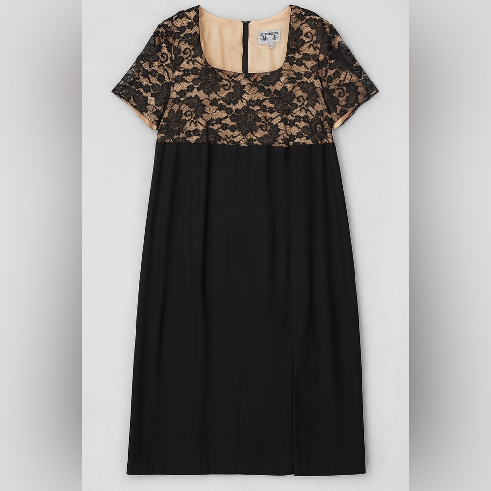 Lois Snyder For Dani Max Woman - 22 Lace Overlay Dress Formal Sheath